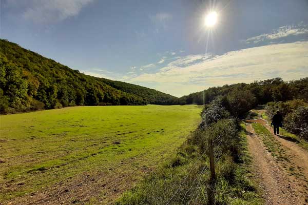 Weiland langs aarden weg in Martel, Lot, Occitanie