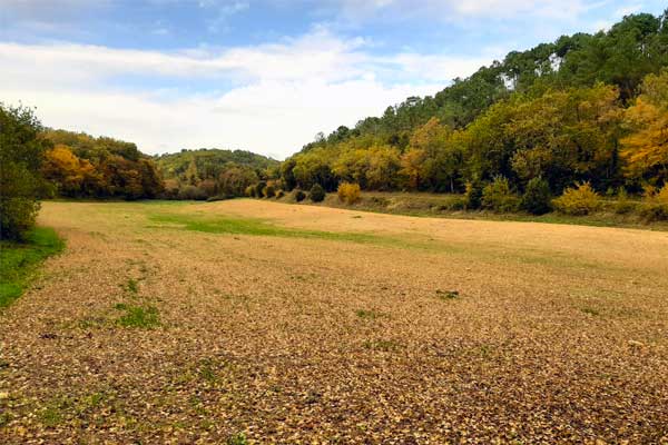 Zicht van wandeling vanaf Saint-Crépin-et-Carlucet