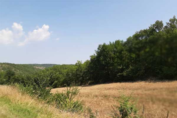 veld nabij Le Manoir in Souillac