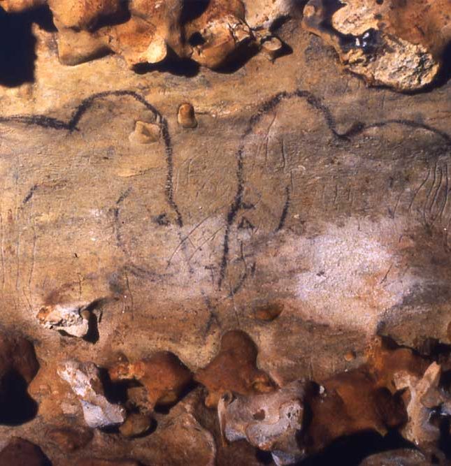 Mammoettekeningen in de grot van Rouffignac