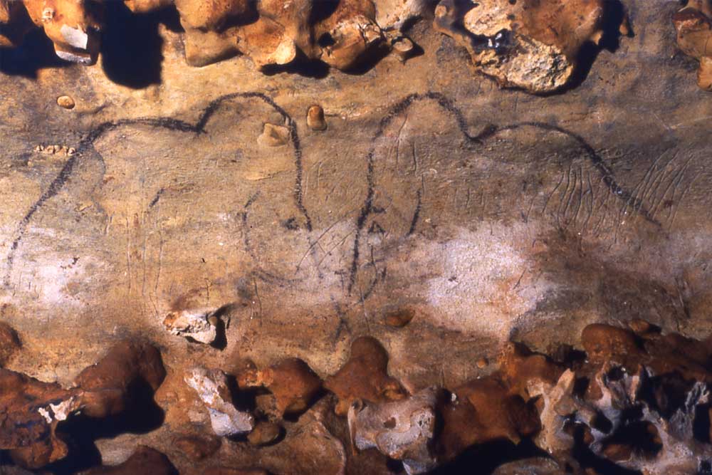 Mammoettekeningen in de grot van Rouffignac