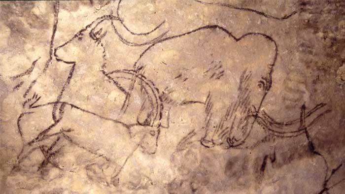 Prehistorische tekeningen in de grot van Rouffignac
