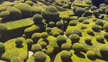 De geschoren buxus in de tuinen van Marqueyssac