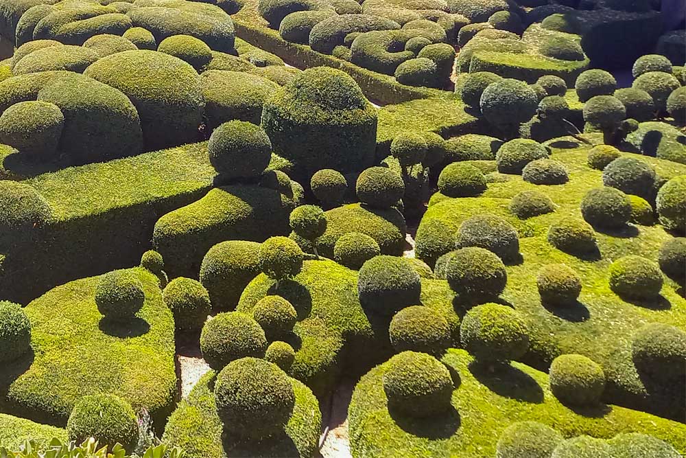 De geschoren buxus in de tuinen van Marqueyssac