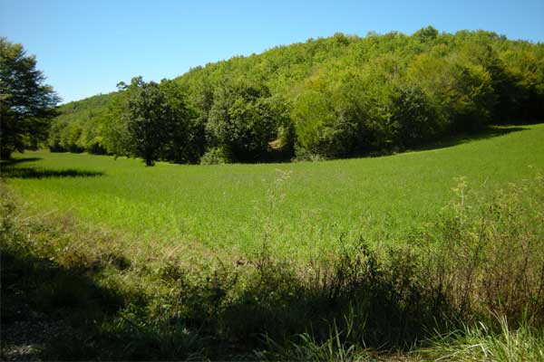 sfeerfoto fietstocht R1 vanaf Le Manoir in Souillac