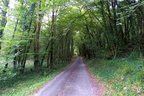 sfeerfoto fietstocht R1 vanaf Le Manoir in Souillac