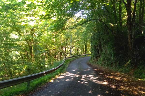 sfeerfoto fietstocht R14 vanaf Le Manoir in Souillac