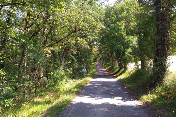 sfeerfoto fietstocht R16 vanaf Le Manoir in Souillac