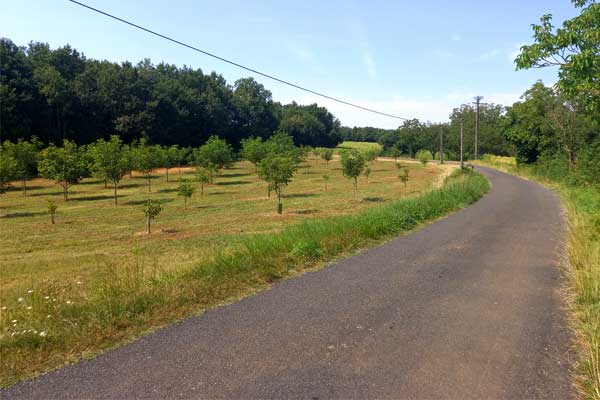 sfeerfoto fietstocht R2 vanaf Le Manoir in Souillac