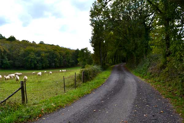 sfeerfoto fietstocht R21 vanaf Le Manoir in Souillac