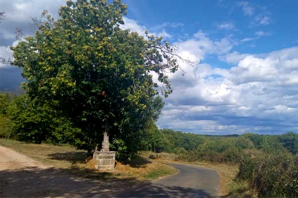 sfeerfoto fietstocht R23 vanaf Le Manoir in Souillac