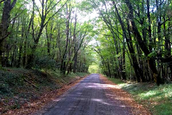 sfeerfoto fietstocht R6 vanaf Le Manoir in Souillac