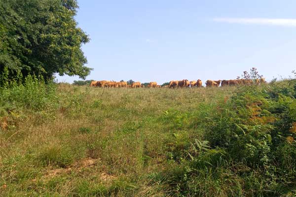 sfeerfoto fietstocht R7 vanaf Le Manoir in Souillac